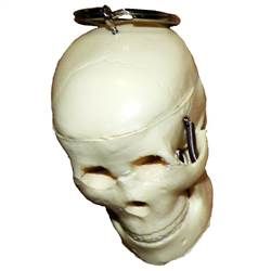Chaveiro Crânio-CS/AT-TGD-0185-C