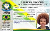 LARISSA FERNANDES DOMINGOS ZITO