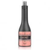 Elixir da Sedução The Secret 10 em 1 - 300ml