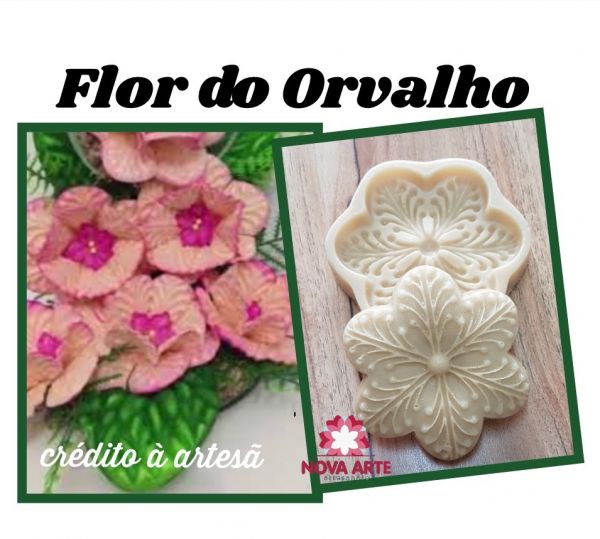 Flor do orvalho
