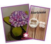 Hortência