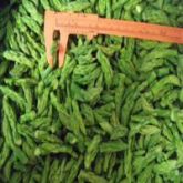 FROZEN GREEN ASPARAGUS