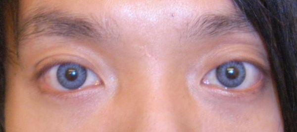 Lentes Freshlook Grey