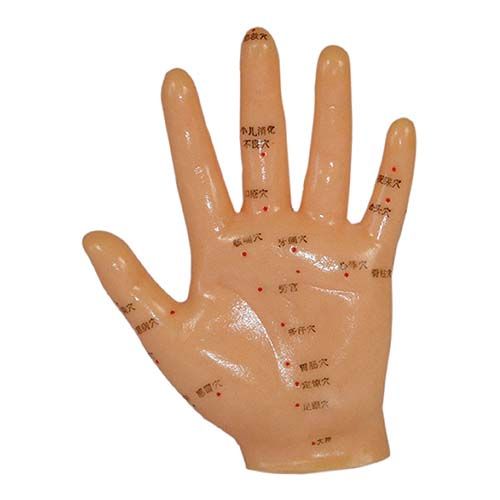 Mão Acupuntura 13cm em PVC-CS/COL-1509
