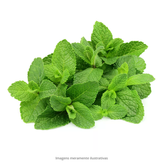 Hortelã Maço - (Produto fresco todo dia)
