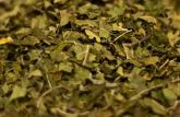 Bardana 100g