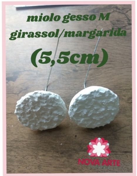 Miolo de gesso M c/arame (50 und)