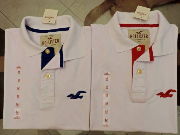 Polo Hollister