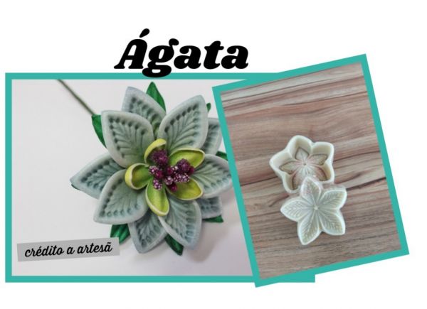 Agata  (n-498)