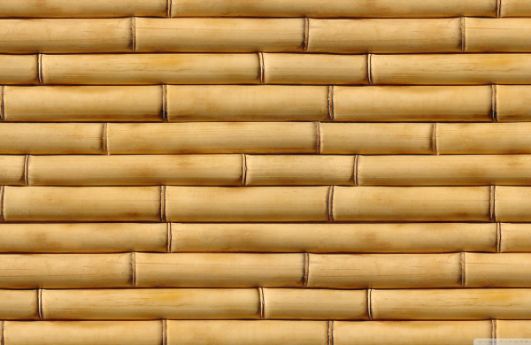 Bambu