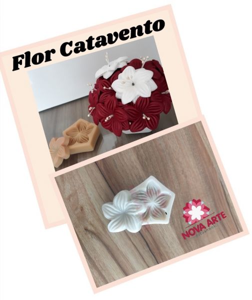 Flor catavento(n-489)