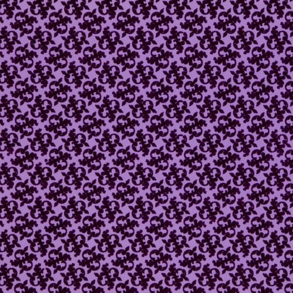 VIOLETA