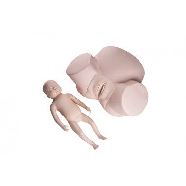 Simulador de Parto Básico-CS/SK-0050