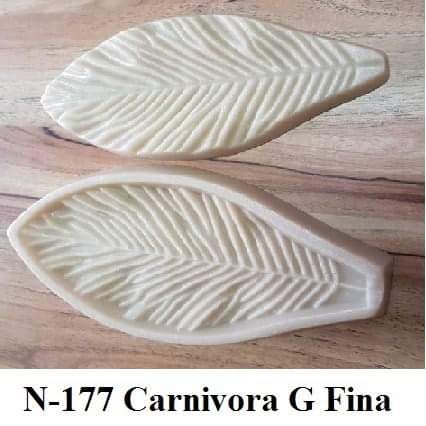 Carnivora G Fina(n-177)