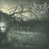 Acácia Crown - The Last Acacia