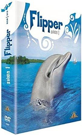 Flipper 1 temporada