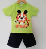 Conjunto Infantil Tigre Verde 3D