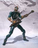 S.I.C. Kiwami Tamashii Kamen Rider Zanki