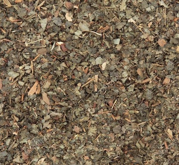Hamamelis 100g