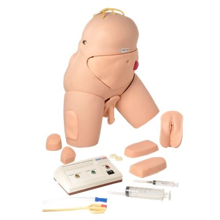 Simulador P/ Cateterização Bissexual c/dispositivo de Controle-CS/AT/TGD-4008
