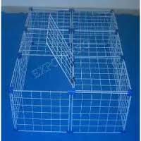 Gaiola Porquinho India