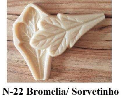 Bromelia sorvetinho(n-22)