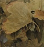 Ginkgo Biloba 100g