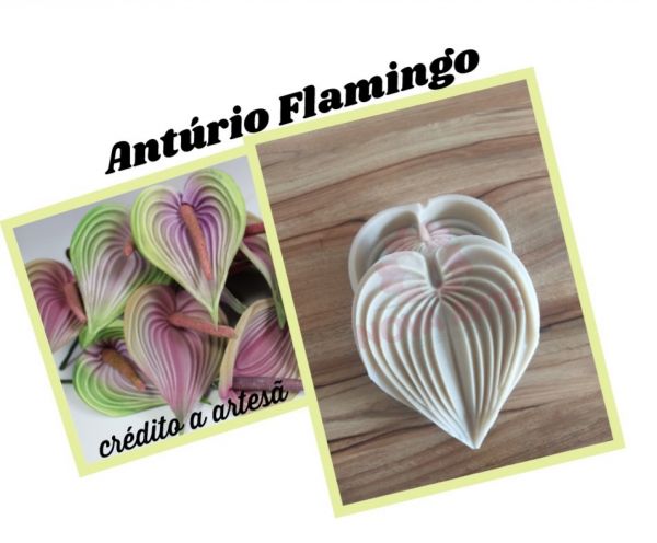 Anturio flamingo (n-485)