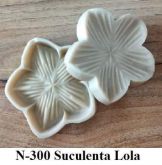 Suculenta Lola (n-300)