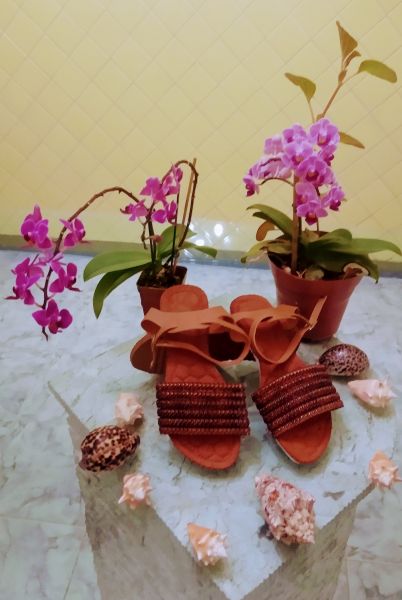 Sandália traseira tradicional 6 fios REF: 402