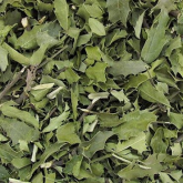 Espinheira Santa 100g