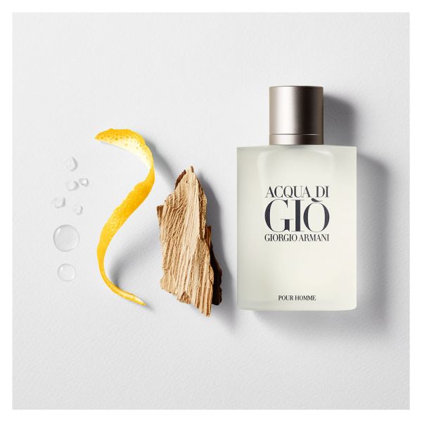Acqua Di Giò Homme Giorgio Armani - Perfume Masculino - Eau de Toilette - 100ml