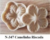 Camelinha Riscada (n-347)