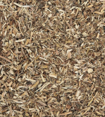 Salsaparrilha 100g