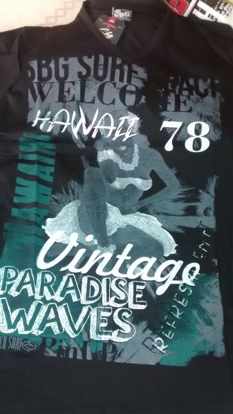 Camisa gola V