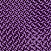 VIOLETA