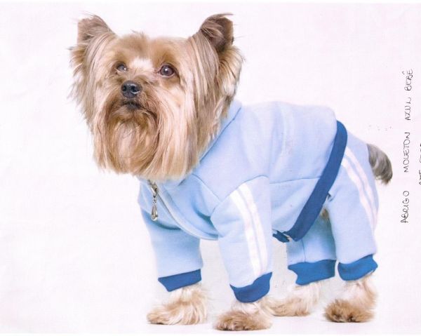 KIT DE CONJ. ABRIGO PET