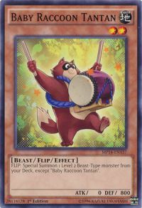 Baby Raccoon Tantan MP14-EN137