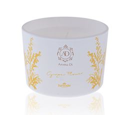 Vela Perfumada Ginger Flower Cód. 30013