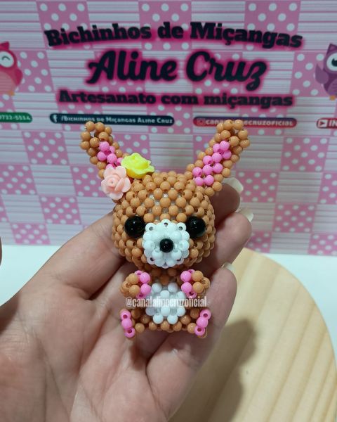 VIDEO AULA COELHINHA