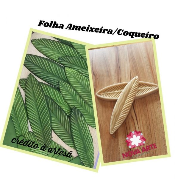 Foha amexeira/coqueiro