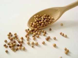 COENTRO EM GRÃO - 1 kilo