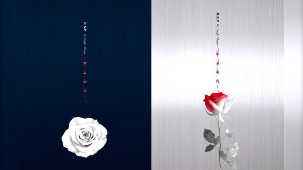 BAP 6TH SINGLE ALBUM - ROSE