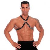 Arreio Masculino Master na cor Preta