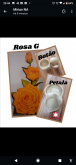 Botão e Pétala Rosa G
