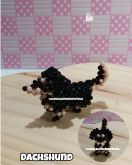 VIDEO AULA DACHSHUND