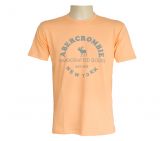 Camisa Abercrombie & Fitch Laranja