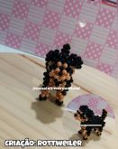 VIDEO AULA ROTTWEILER