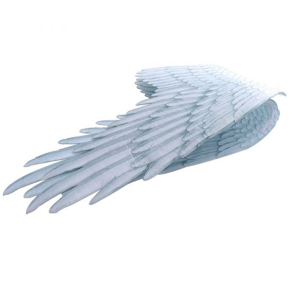 Asa Anjo Ref1550