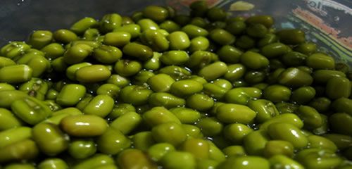 FEIJÃO MOYASHI - 1 kilo